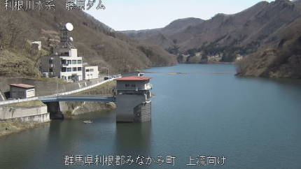 参考画像