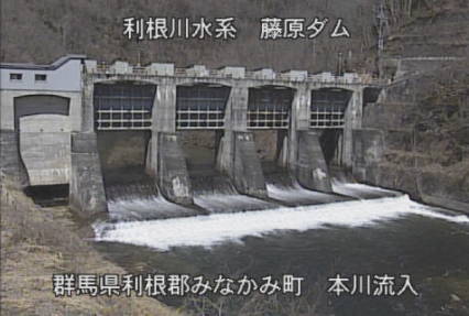 参考画像