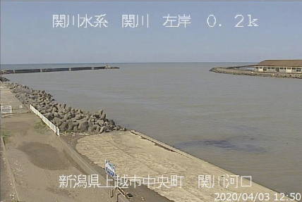 参考画像