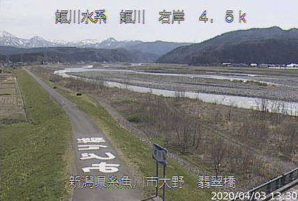 参考画像