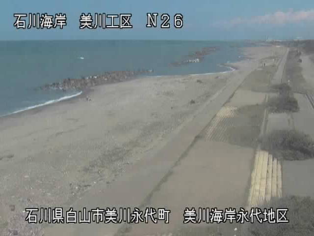 参考画像