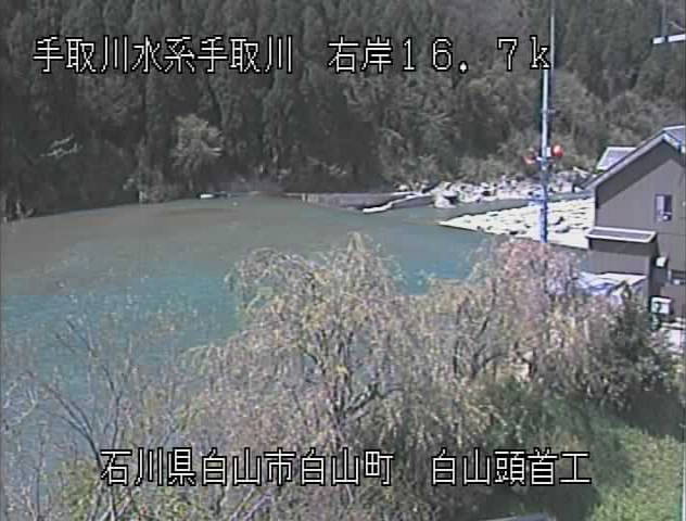 参考画像