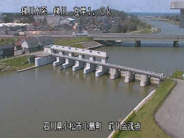 参考画像