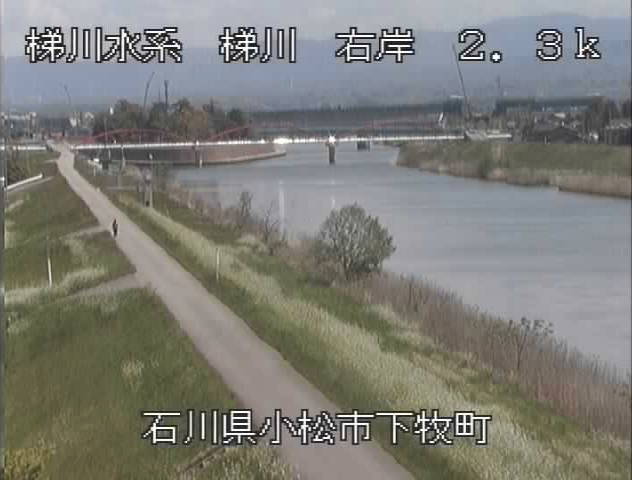 参考画像