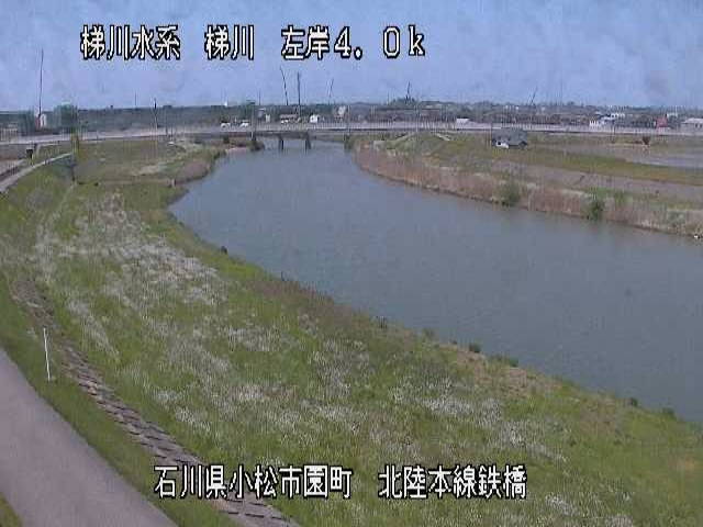 参考画像