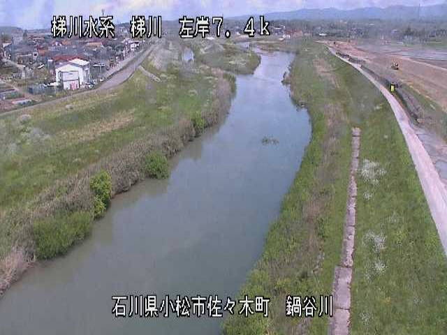 参考画像