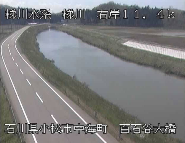 参考画像