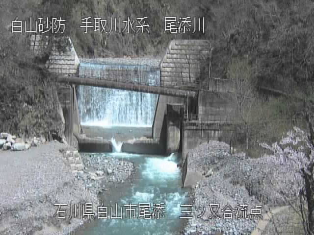 参考画像