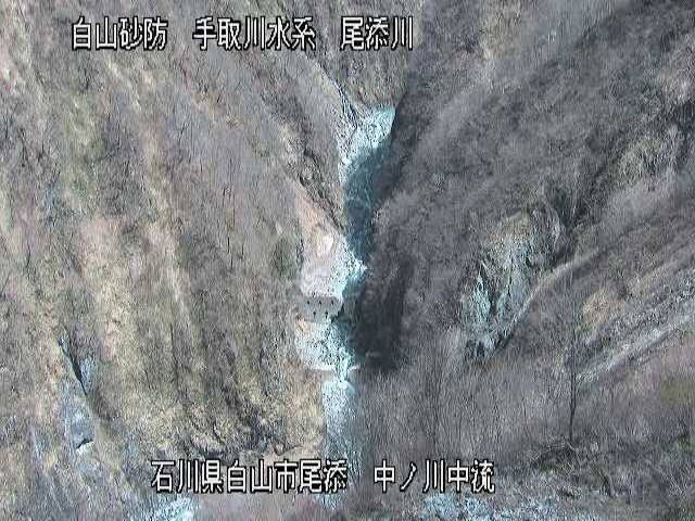 参考画像