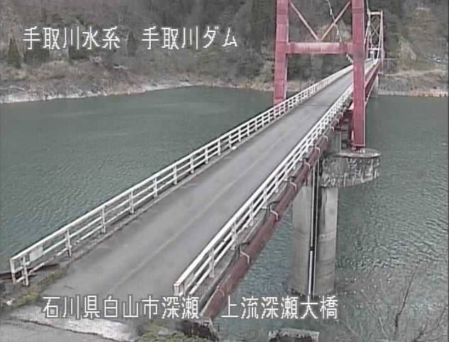 参考画像