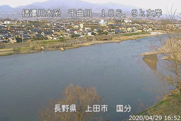参考画像