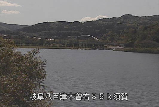 参考画像