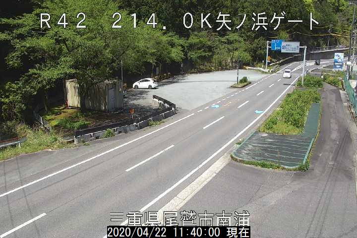 参考画像