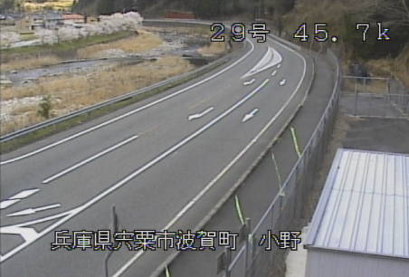 参考画像