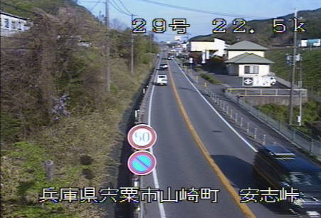 参考画像