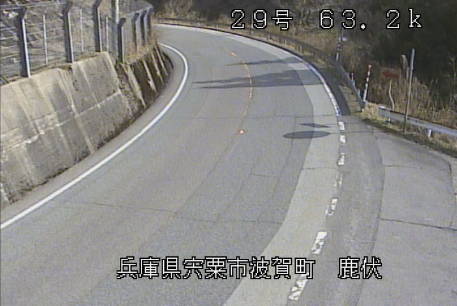 参考画像