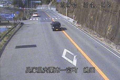 参考画像