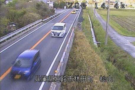 参考画像