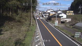 参考画像