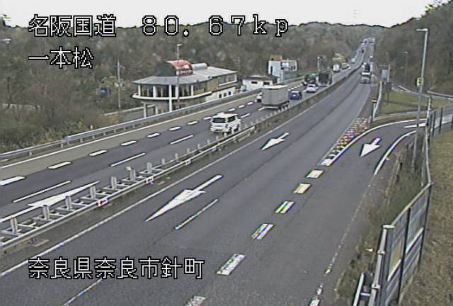 参考画像