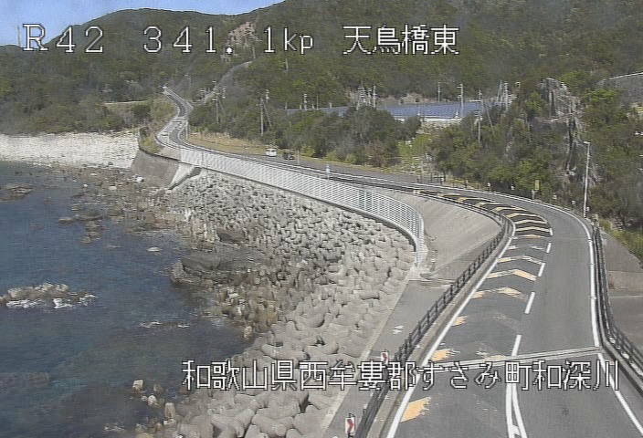 参考画像