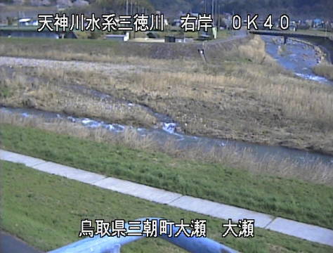 参考画像