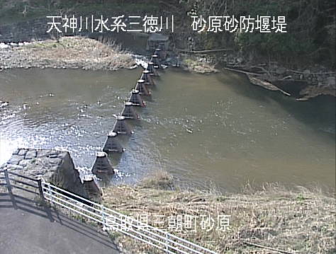 参考画像