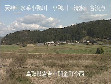 参考画像