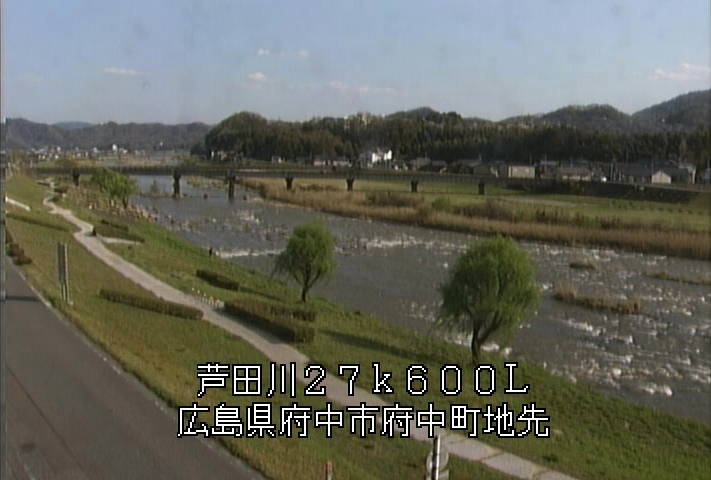参考画像