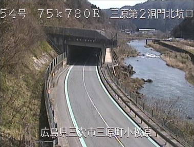 参考画像