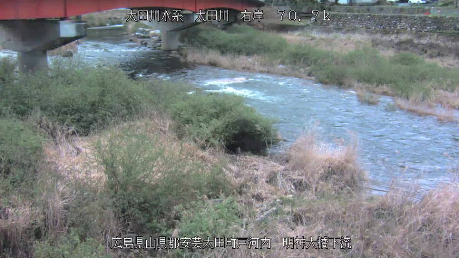 参考画像