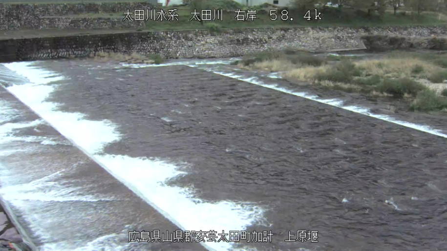 参考画像