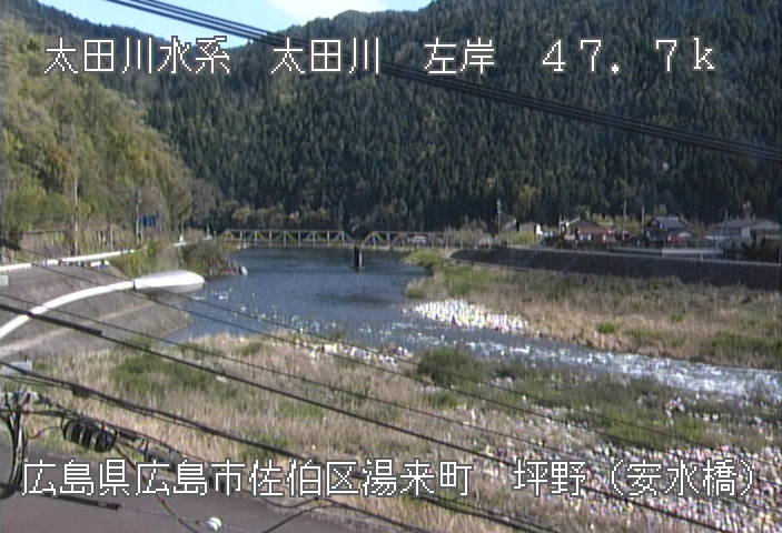 参考画像
