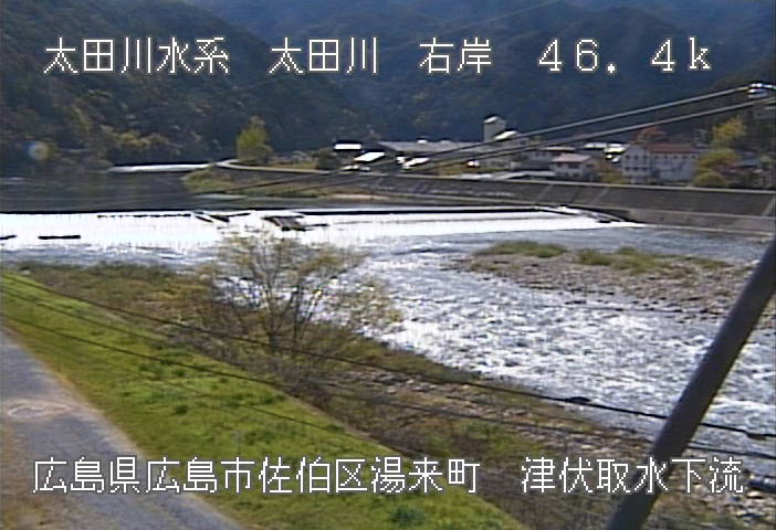 参考画像