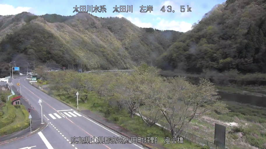 参考画像