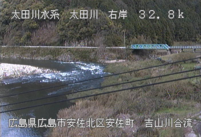 参考画像