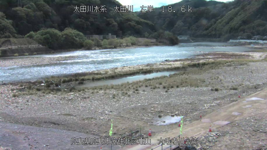 参考画像