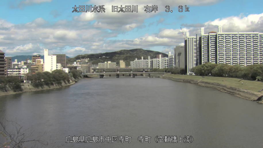 参考画像
