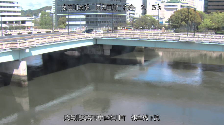 参考画像