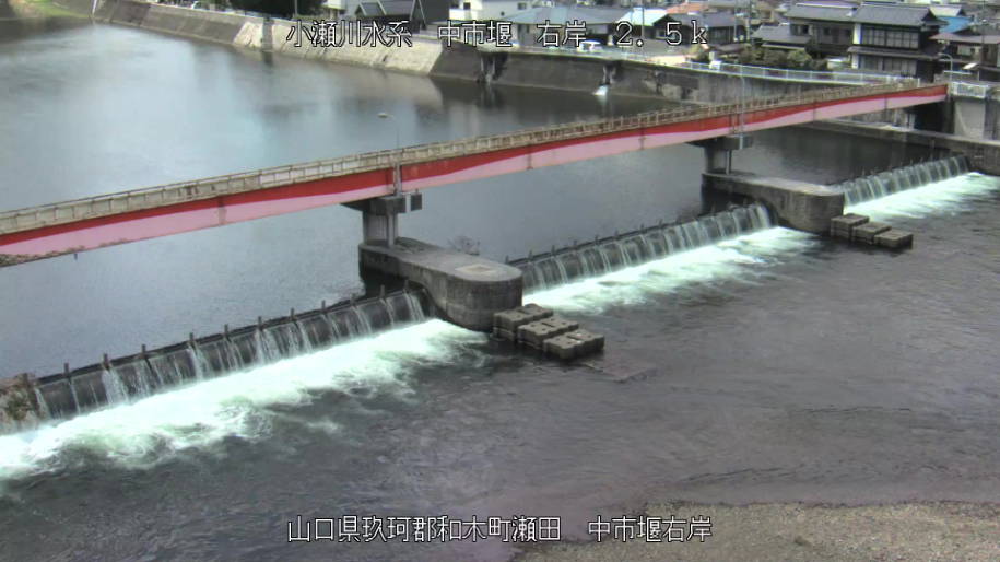 参考画像