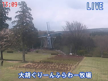 参考画像