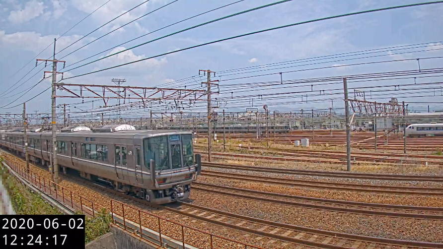参考画像