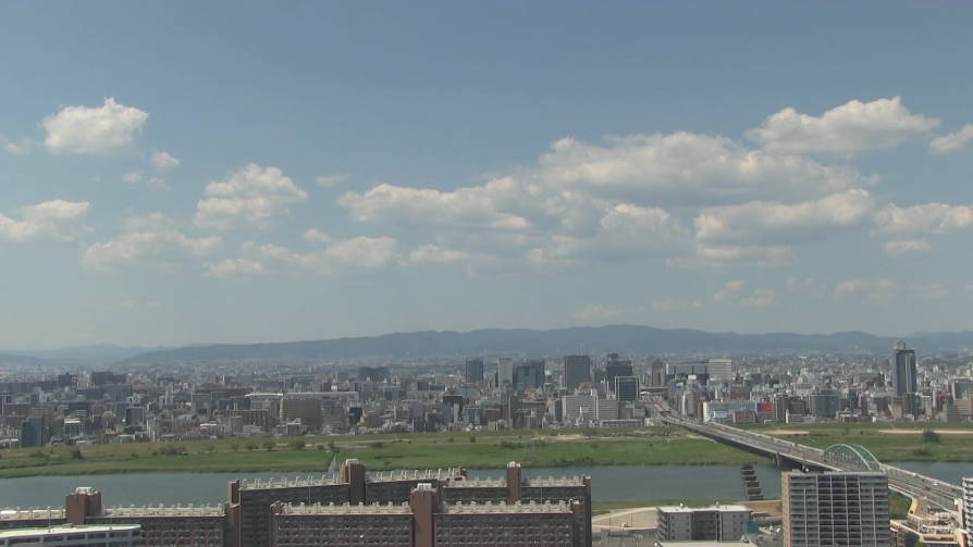 参考画像