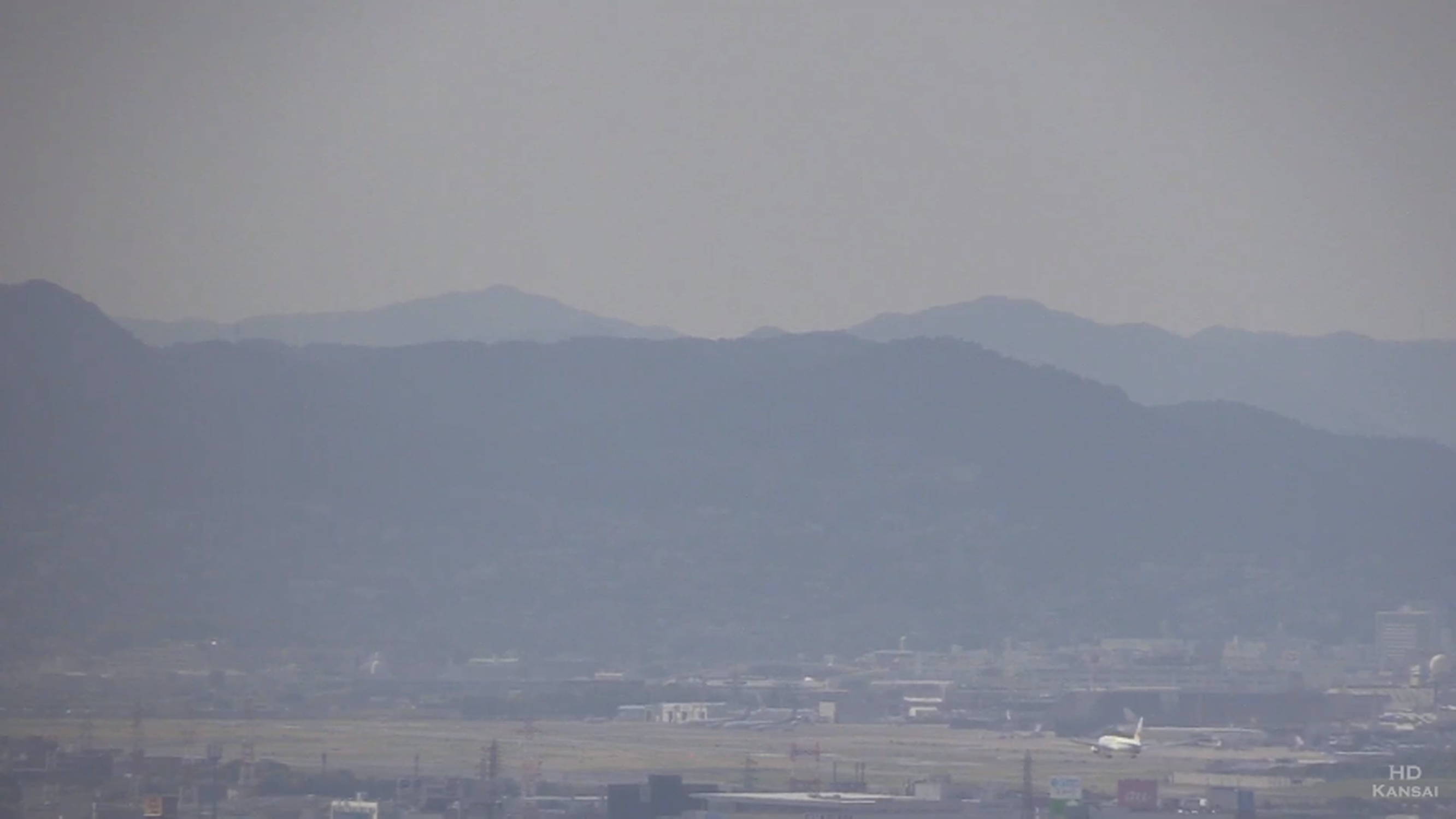 参考画像
