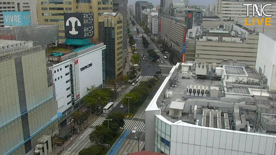 参考画像
