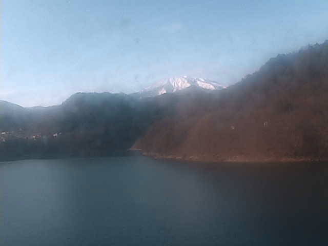 参考画像